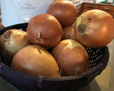 Onions and C Pot