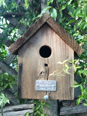 My very first bird house.