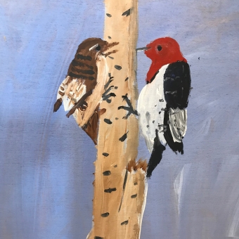 Woodpeckers two